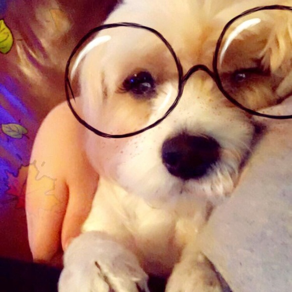 Meet your Posher, Jenna - Picture 1 of 1